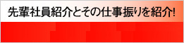 先輩社員紹介とその仕事振りを紹介！